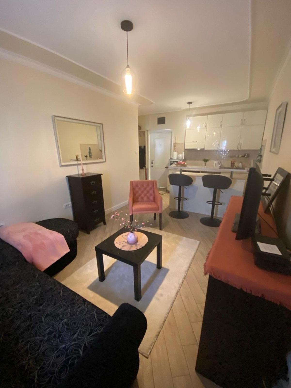 בלגרד Apartment Bitef Centar מראה חיצוני תמונה